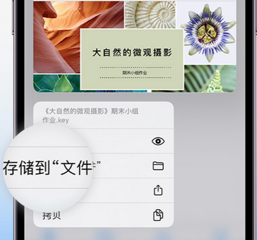 四平apple维修中心分享iPhone文件应用中存储和找到下载文件