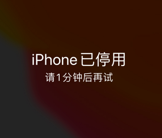 四平苹果手机维修分享:iPhone 显示“不可用”或“已停用”怎么办？还能保留数据吗？ 