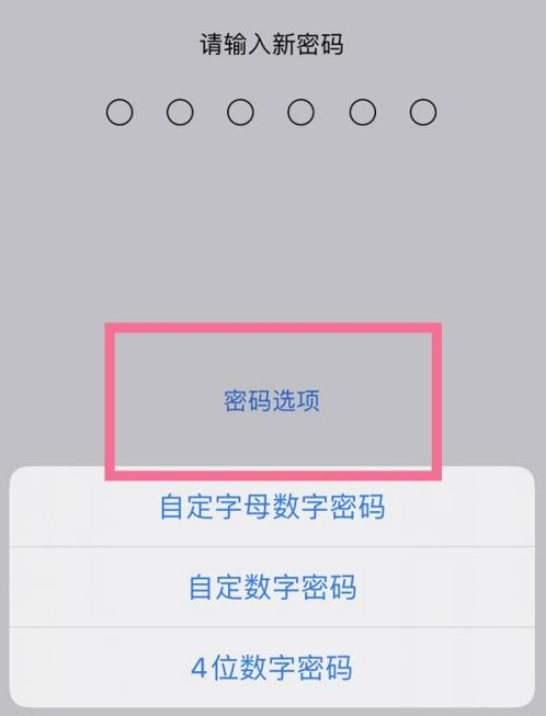 四平苹果14维修分享iPhone 14plus设置密码的方法 