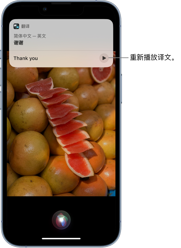 四平苹果14维修分享 iPhone 14 机型中使用 Siri：了解 Siri 能帮你做什么 