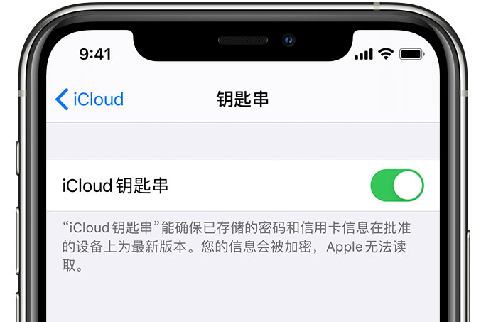 四平苹果手机维修分享在 iPhone 上开启 iCloud 钥匙串之后会储存哪些信息 