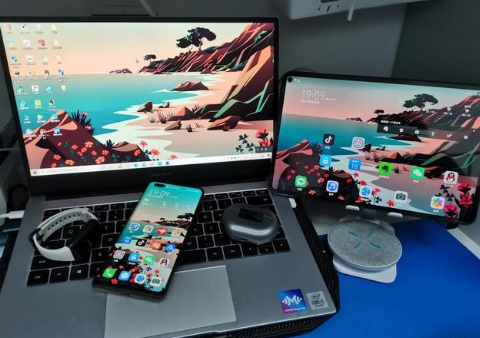 四平苹果手机维修分享为什么iPad屏幕更大价格却比iPhone低 