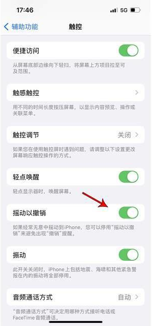 四平苹果手机维修分享iPhone手机如何设置摇一摇删除文字 